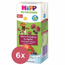 6x HiPP BIO Nápoj Jemné jablko a ovoce s neperlivou pramenitou vodou 200ml od 1 roku