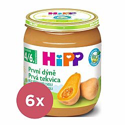 6x HiPP BIO První dýně 125 g